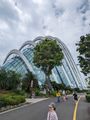 373 - Gardens by the Bay huge tropical plant structures
