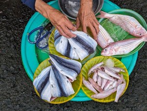 215 - Hoi Anh markets 3 - fresh fish