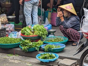219 - Hoi Anh markets 7 - fresh greens