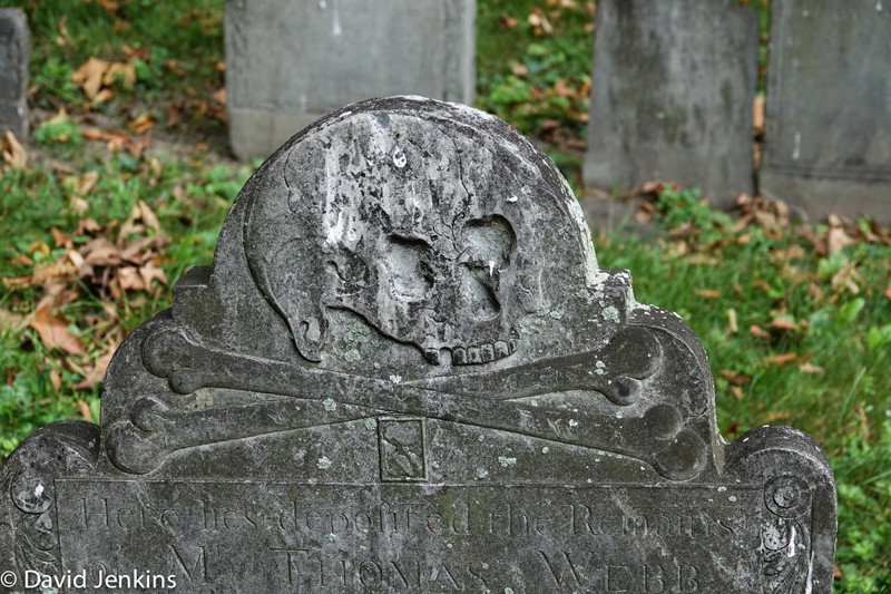 Gravestone with Skull and Crossbones