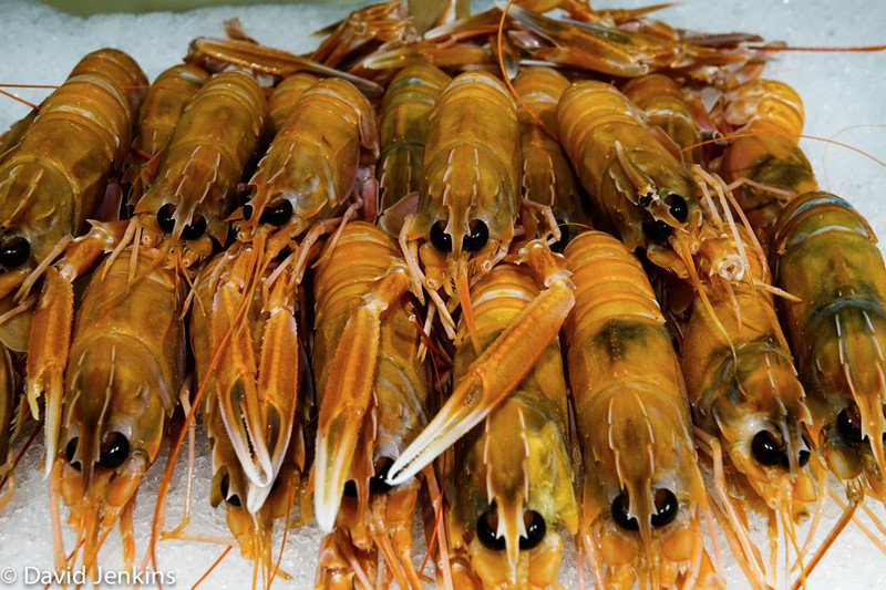 Langostino from Spain