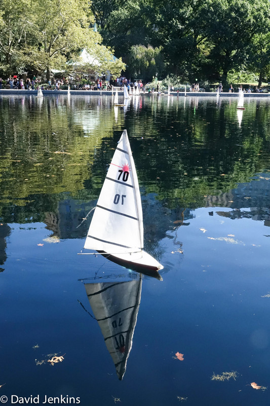 Radio controlled sailboats on Central Park Pond