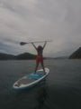 Paddle boarding in Picton