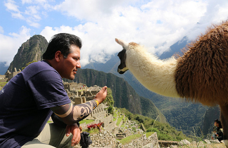 Eddie and the llama