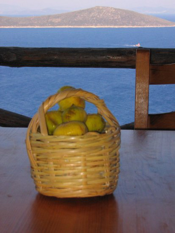 This is the traditional fig basket