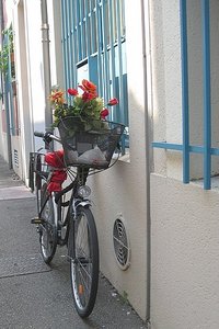 Flowers decorating a bike basket