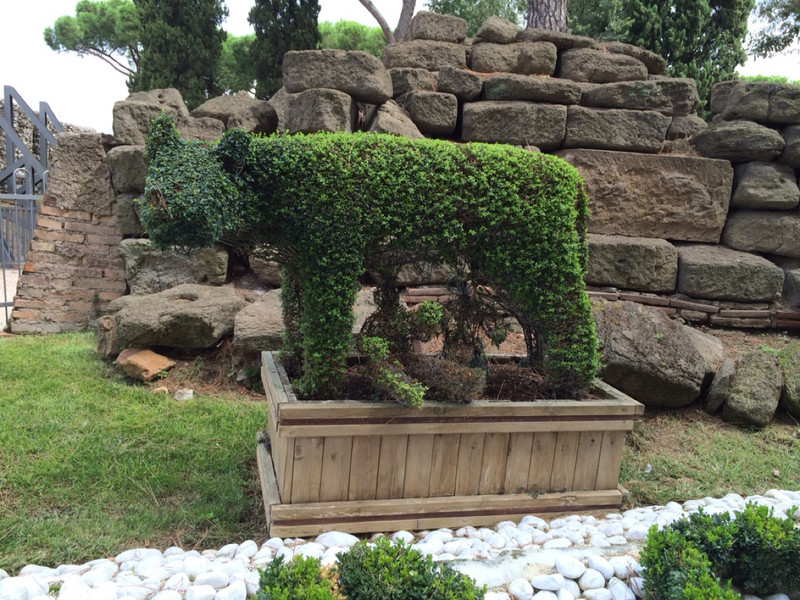 Also available in topiary
