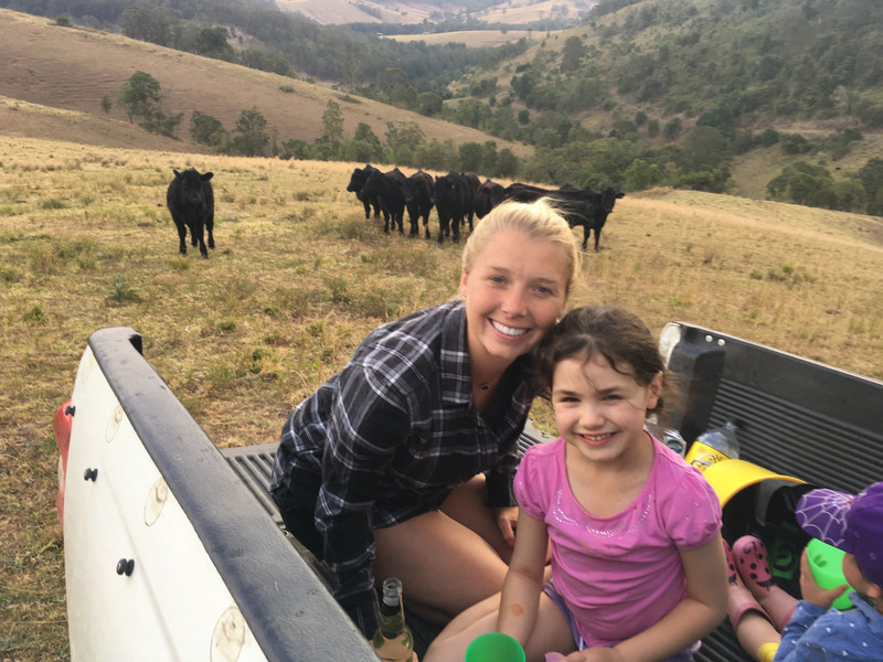 Picnic with the cows