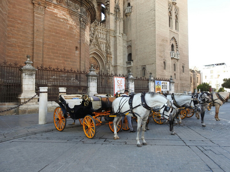 Lots of horses and buggies and incredible architecture