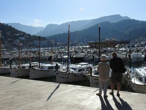 Checking out the boats in the harbour