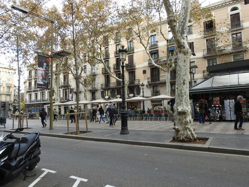 Early morning La Rambla before the crowds