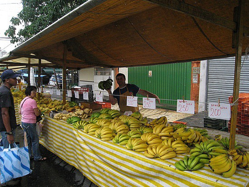 Bananas, Bananas, Bananas ... So Many Types