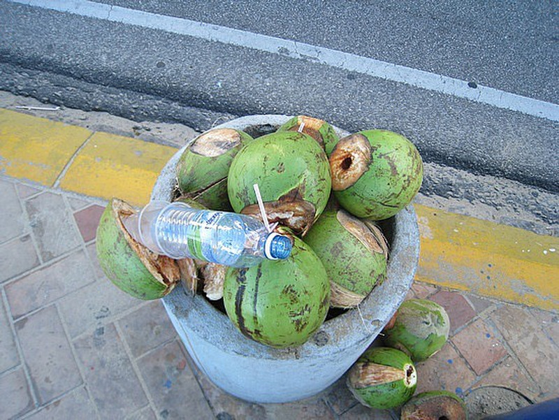 Heavy Coconuts ...