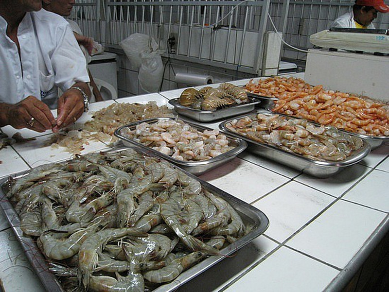 Seafood - As Fresh As It Gets