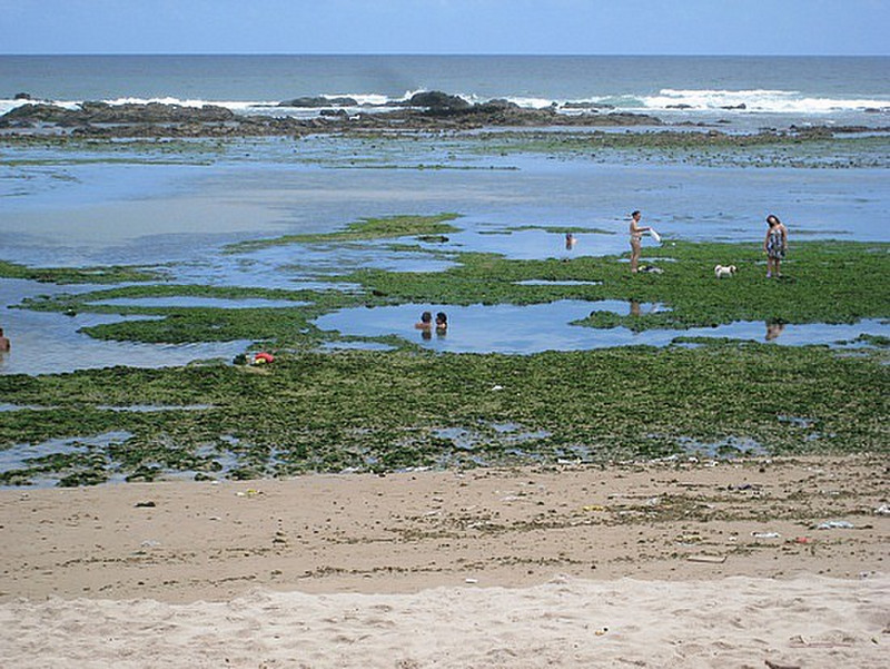Nasty Tidal Pools - Why Would You Sit In That?!?!?