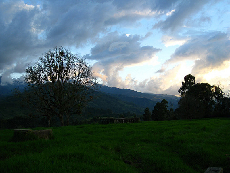View From La Serrana