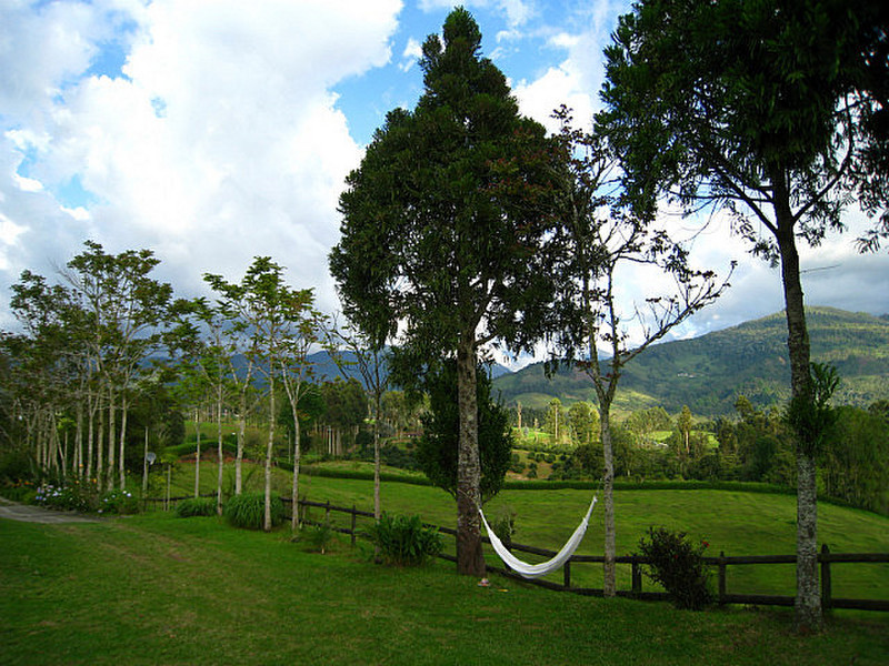 Lazy Hammock at the Finca, Beckoning Me to Stay