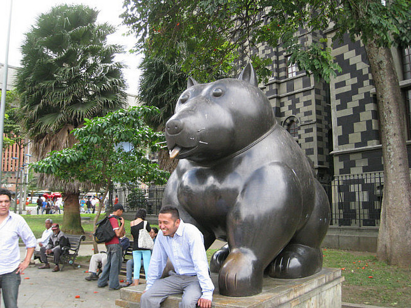Cute Chubby Puppy in Plaza Botero ...