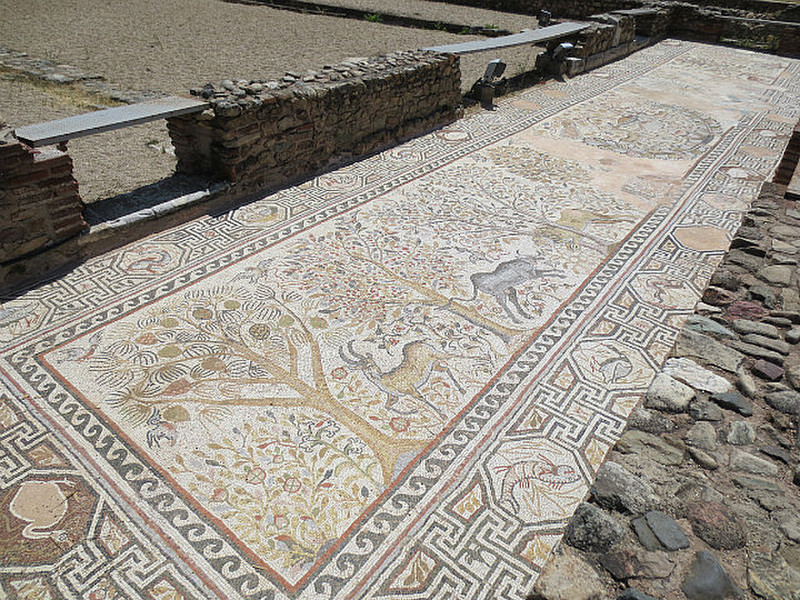 Incredibly Well-Preserved Mosaic ...