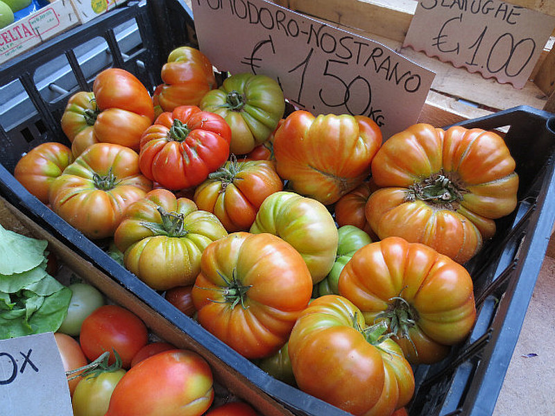 Interesting Tomatoes