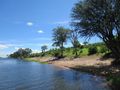 Cruising the Chobe River
