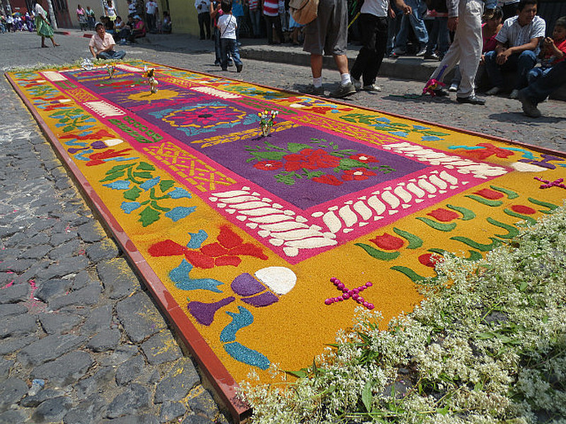 Beautiful Carpets for Holy Week ...