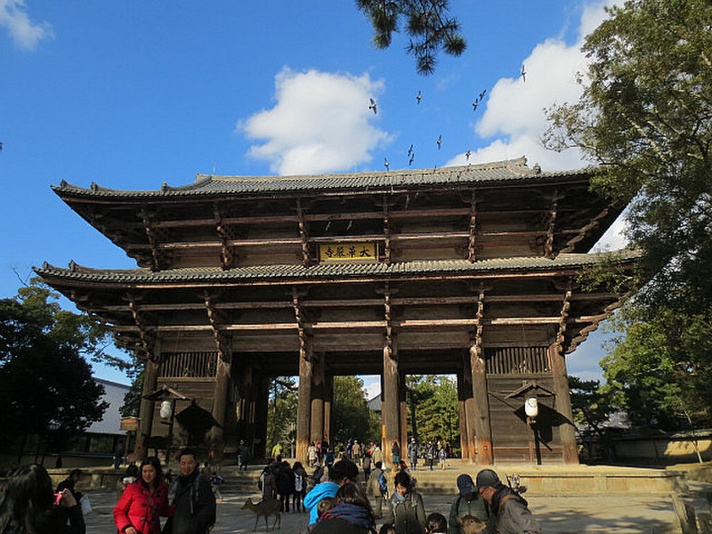 Gates of Todai-Ji - Nara&#39;s Famous Temple