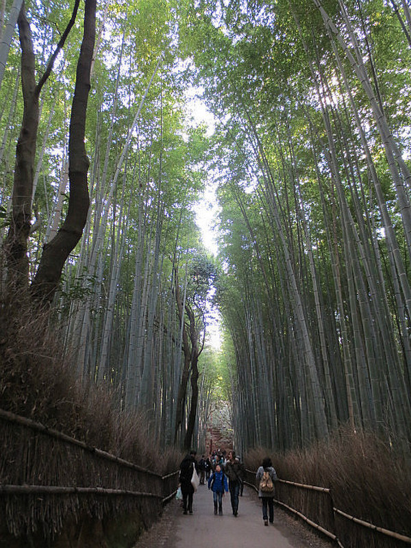 Arashiyama&#39;s Bamboo Grove ...