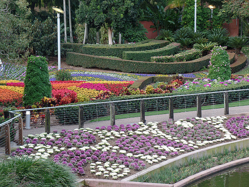 gardens in Roma Parklands