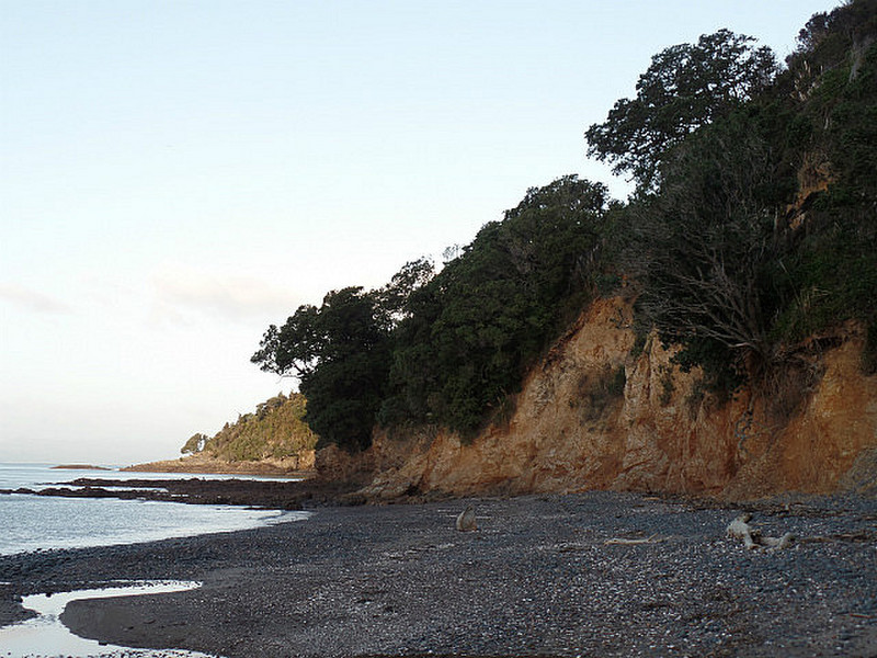 Kawakawa Bay