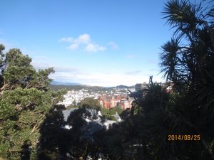 View from the Botanic Garden 
