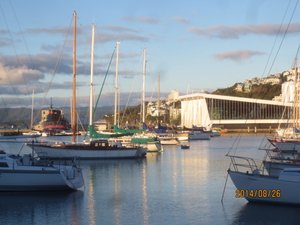 Port Wellington