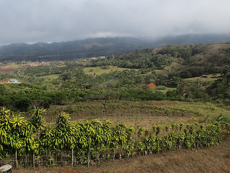 Cool Hills of Costa Rica ...