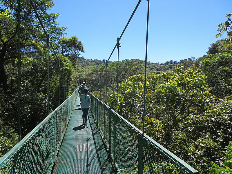 Hanging Bridges at the Selvatura Adventure Park