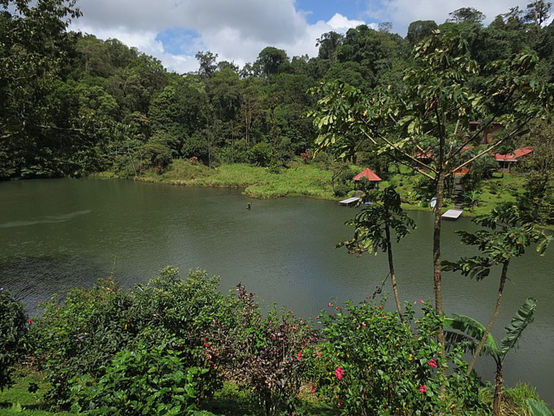Smaller Arm of Lake Arenal