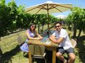 Lunch In-between the Vines of St Clair