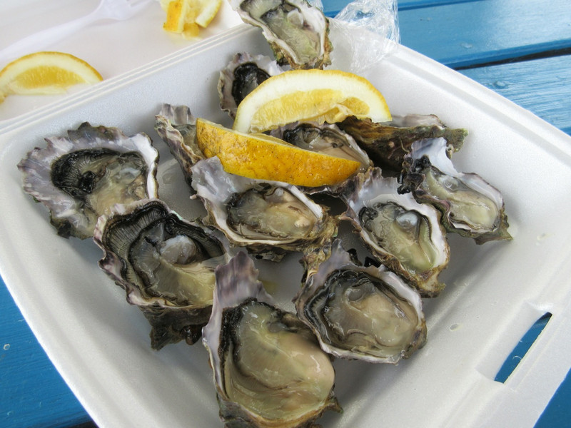 Briny Mineral Oysters From Orongo Bay ...