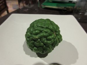 Green Brain AKA Kaffir Lime ...