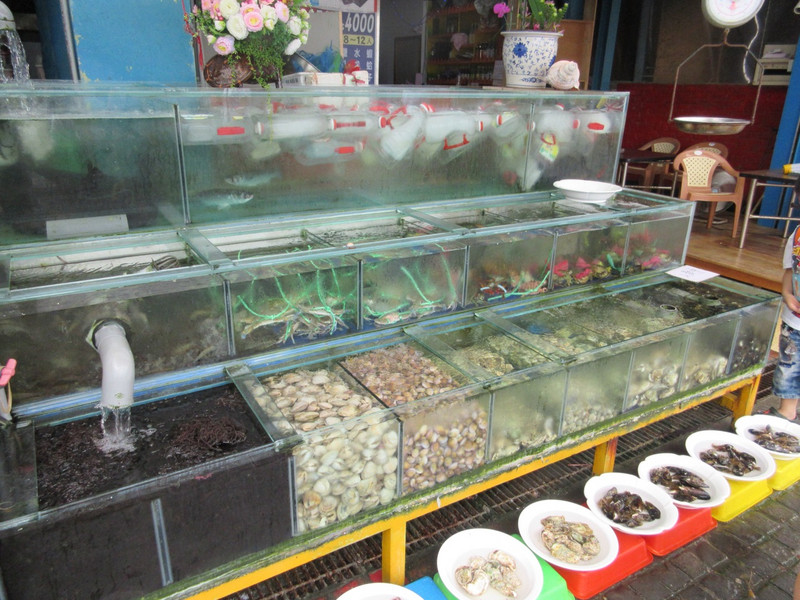 Freshest Seafood Buffet Possible ...