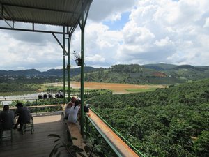 Coffee Farm Views