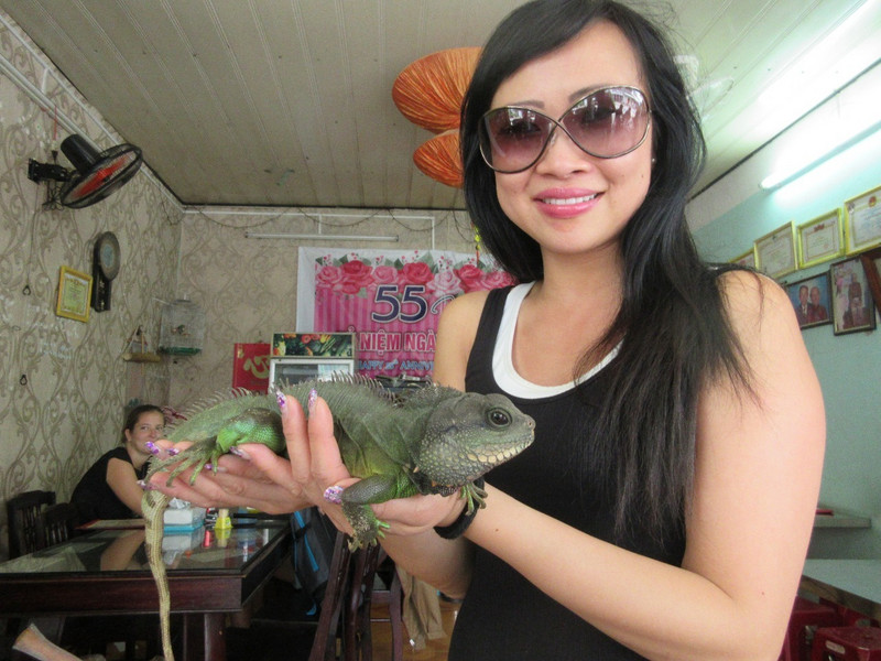 Phi Banh Mi&#39;s Mascot - Danny the Iguana!