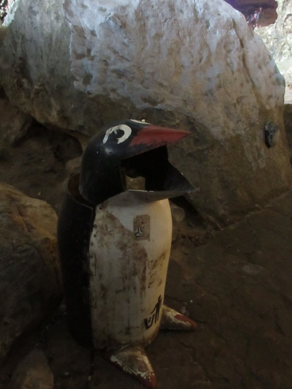Penguin Rock ...