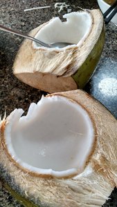 Nothing Quenches Thirst Like Fresh Coconut ...