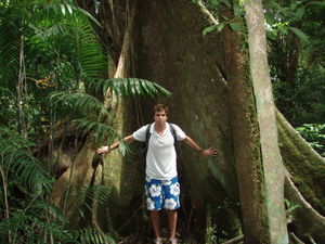 Kyle & the giant tree