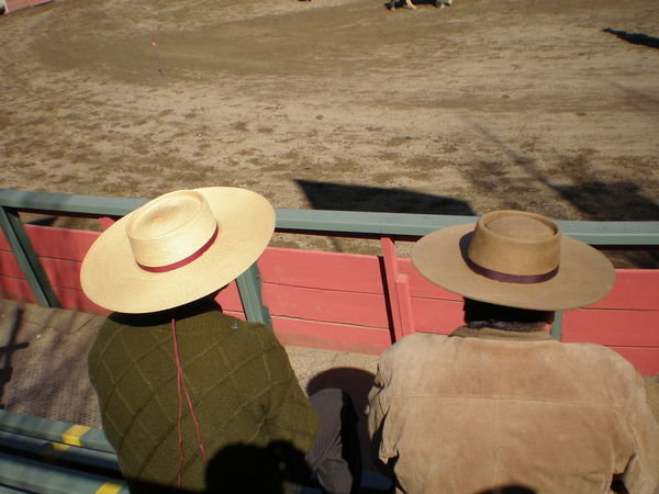 Thê chilean cowboy hat