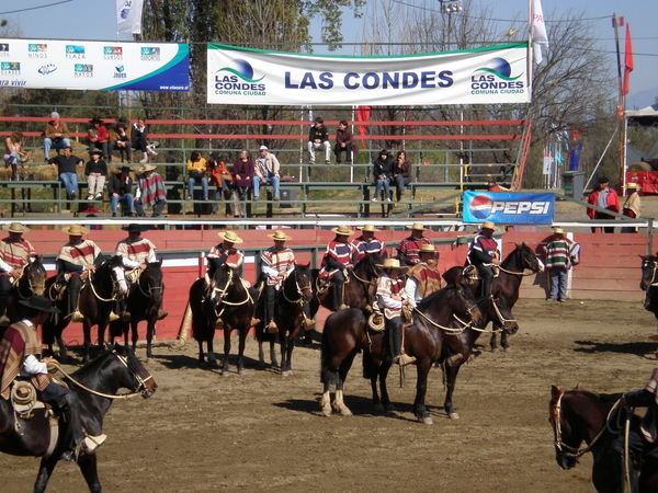 The chilean rodeo