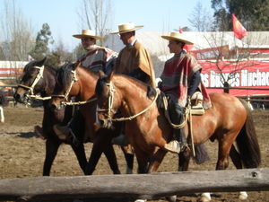 Chilean Huasos-aka cowboys