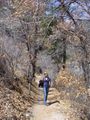 Hiking the Falls Trail (Bandelier)