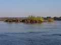 On the Zambezi