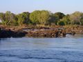 The cataracts of the Zambezi